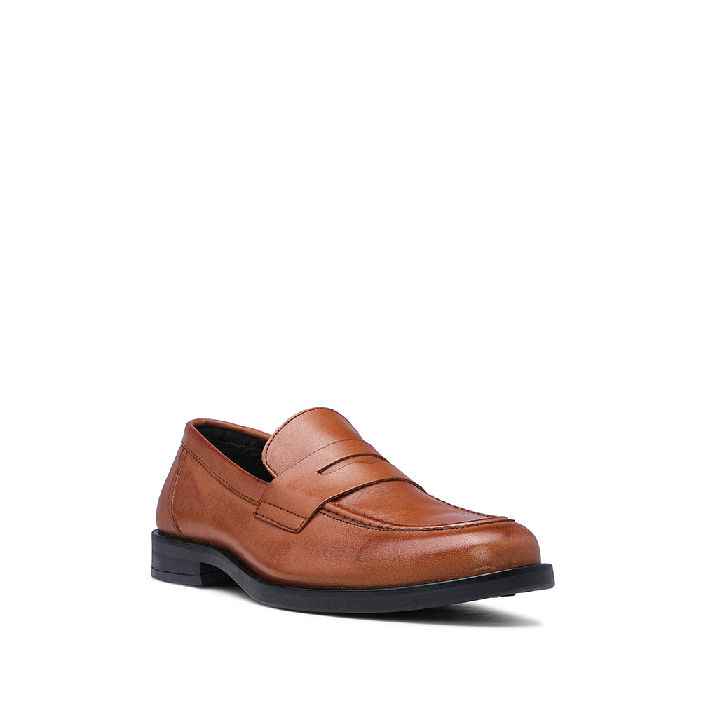 Sapato Clássico Homem Pele Camel