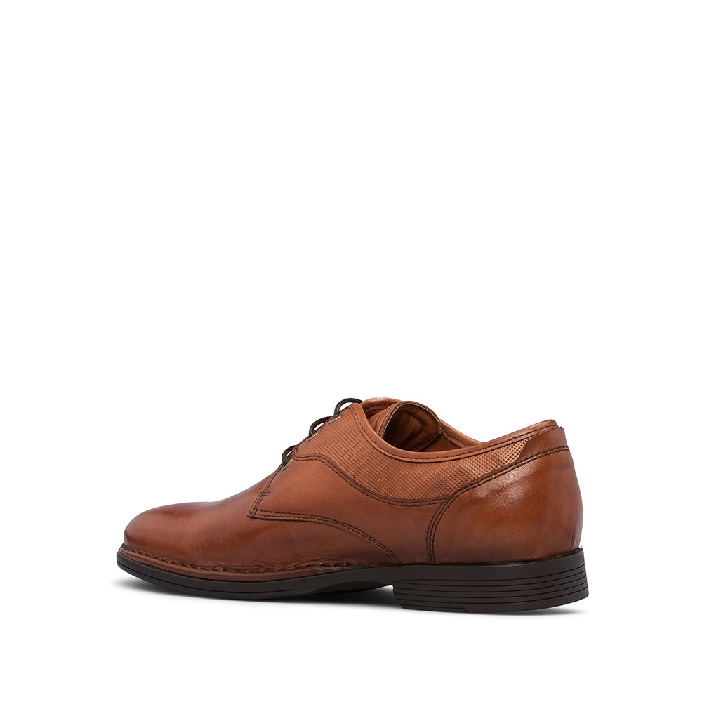 Sapato Clássico Homem Pele Castanho