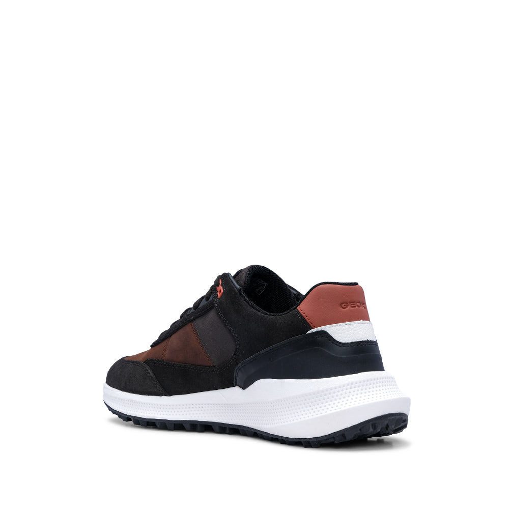 Sapatilha Casual Homem Pele Café