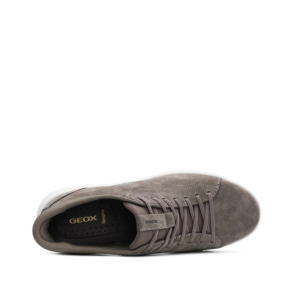 Sapatilha Casual Homem Camurça Taupe