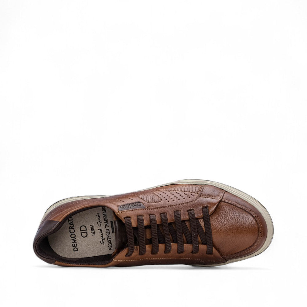 Sapatilha Casual Homem Pele Cognac