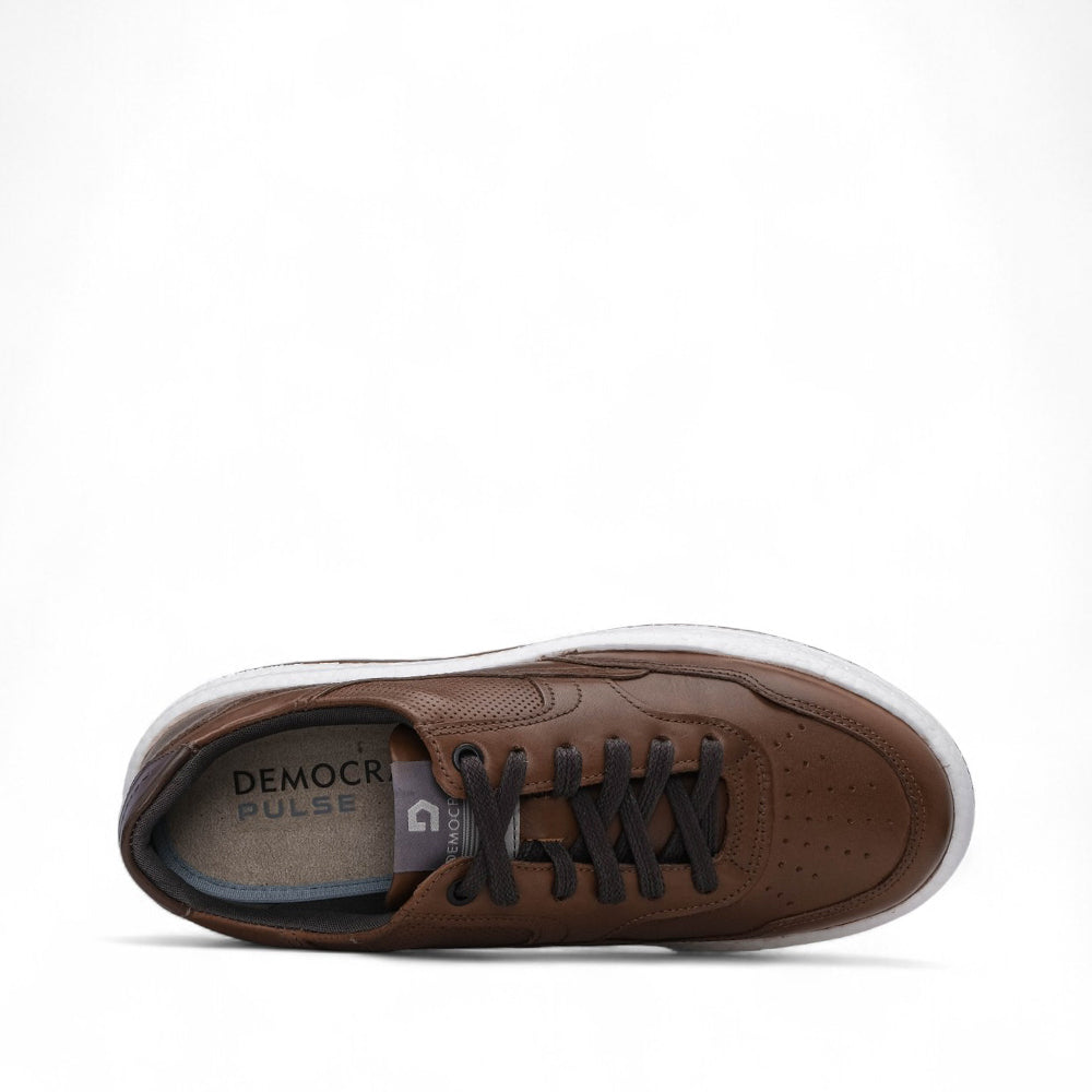 Sapatilha Casual Homem Pele Camel