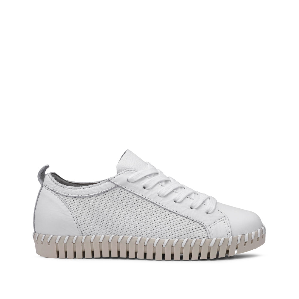 Sapato Salto Raso Mulher Pele Branco