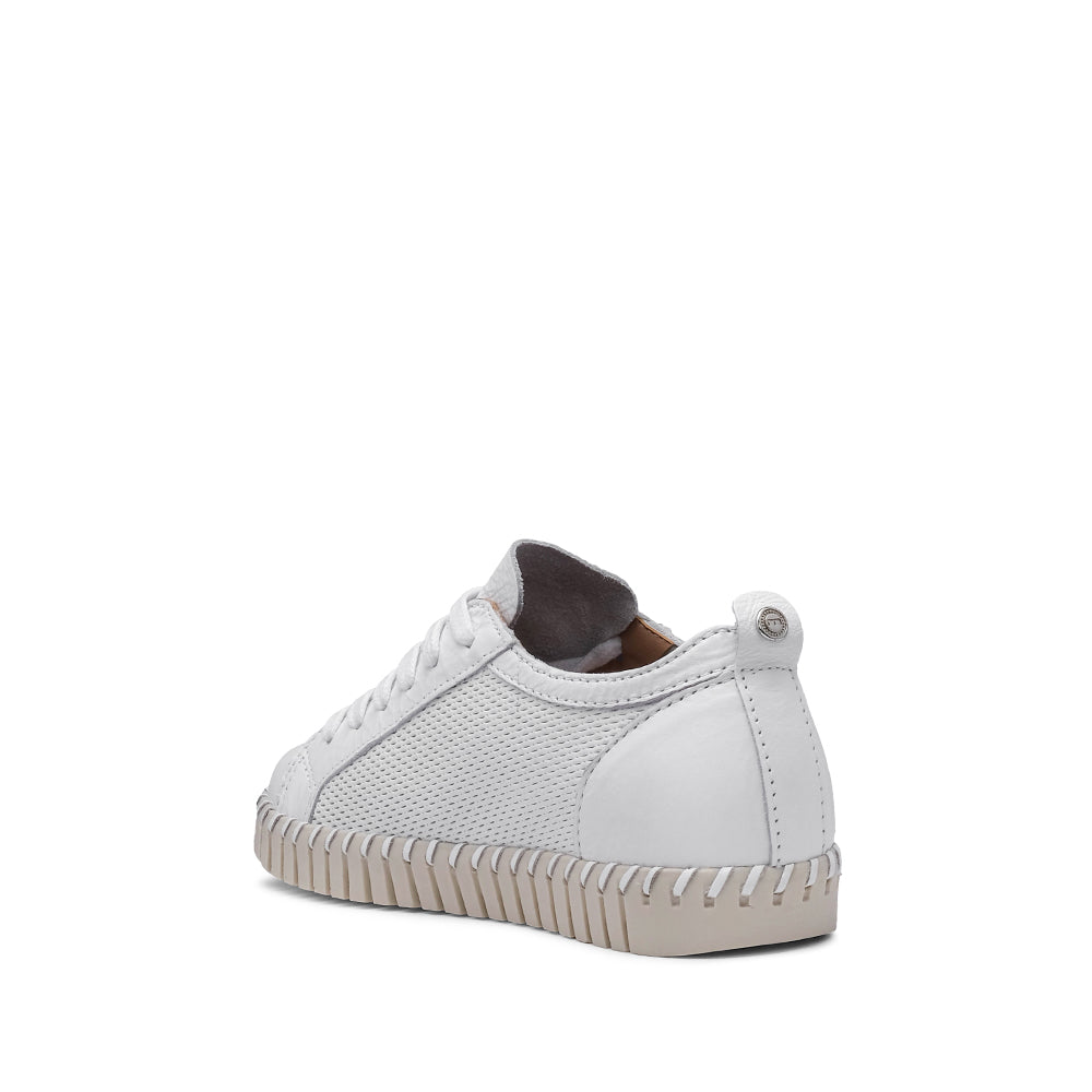 Sapato Salto Raso Mulher Pele Branco