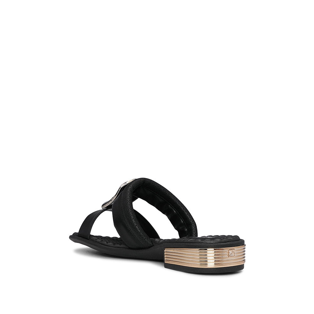 Chinelo Salto Raso Mulher Pele Preto