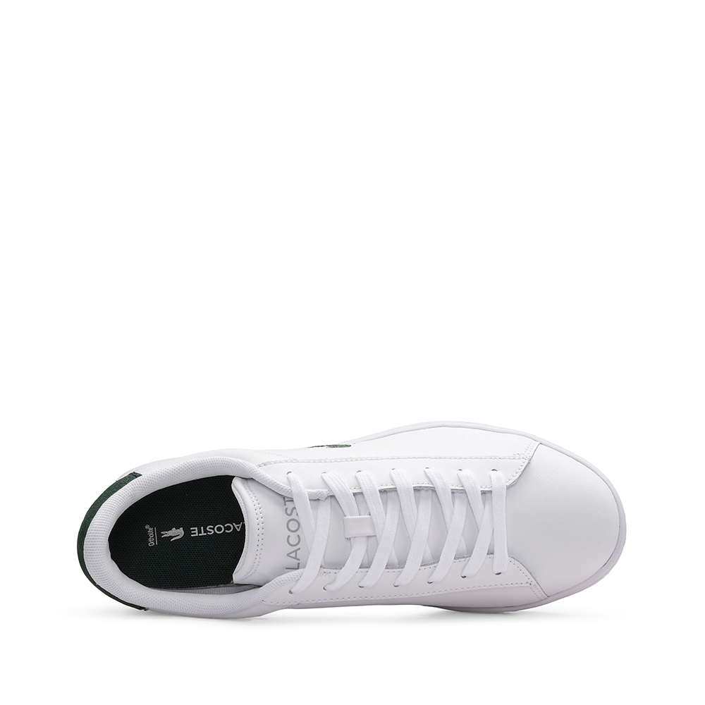 Sapatilha Casual Homem Branco E Verde