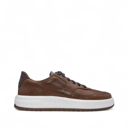 Sapatilha Casual Homem Pele Camel