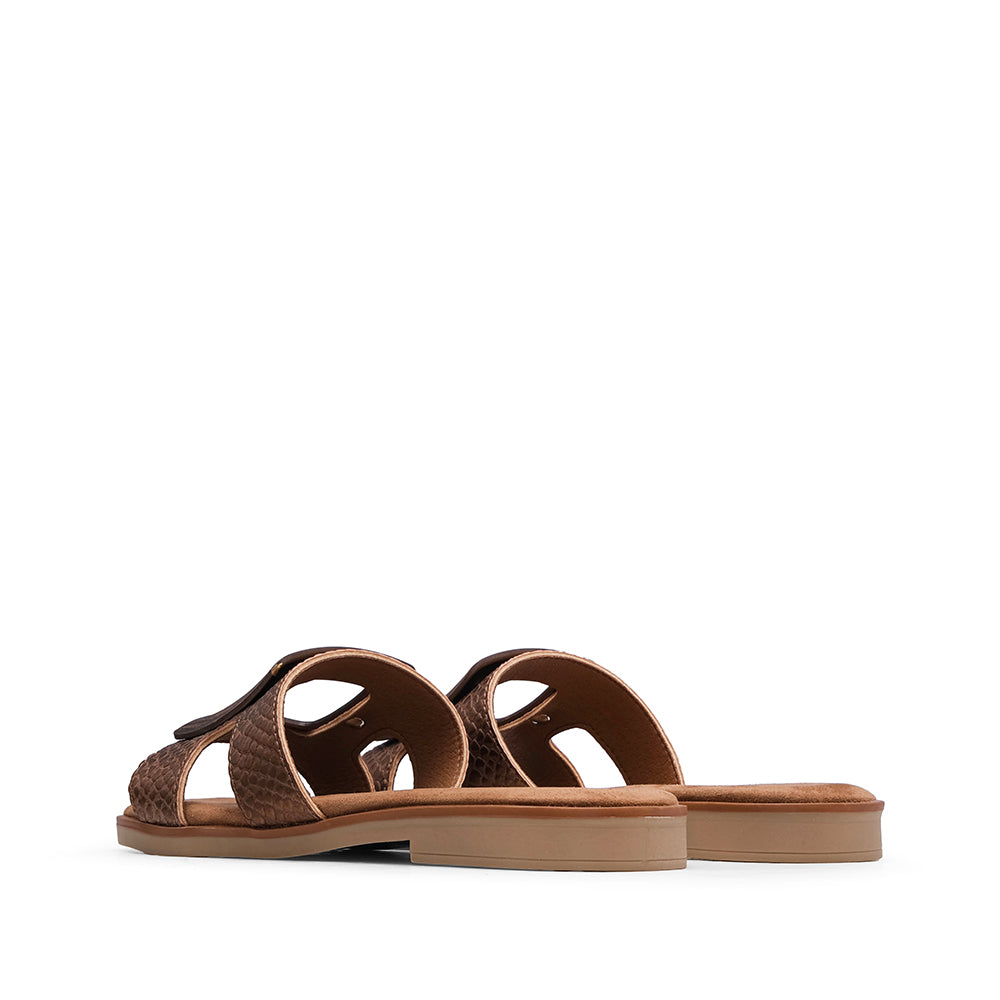 Chinelo Casual Mulher Castanho