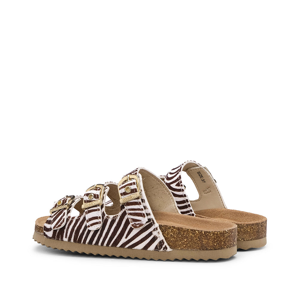 Chinelo Casual Mulher Zebra