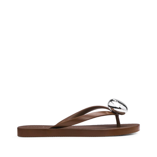 Chinelo Praia Mulher Castanho